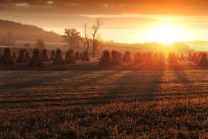 Competition entry: Sunrise in Amish Country