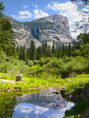 Competition entry: Reflection on Mirror Lake -- Yosemite Park