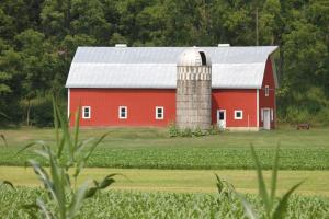 Competition entry: Old Barn 