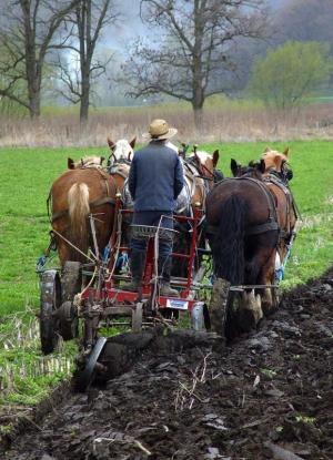 Competition entry: Plowing