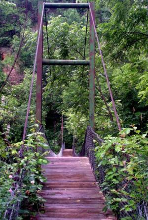 Competition entry: Swinging Bridge