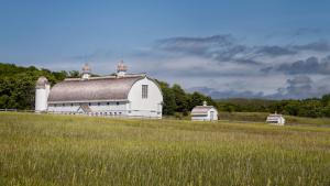 Competition entry: Silver Barns