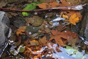 Competition entry:  Fall at  the Waterfall