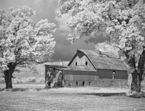 Competition entry: Barn and Trees