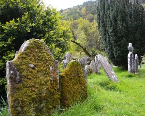 Competition entry: Mossy Tombstones