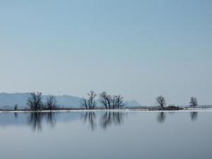 Competition entry: Reflection in Blue