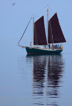 Competition entry: East Harbor, Grand Marais