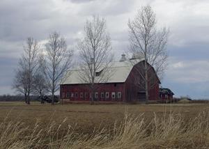 Competition entry: Hwy. 21 Barn