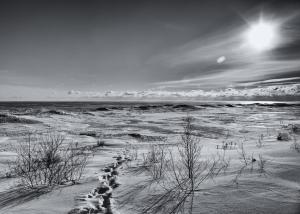 Competition entry: Frozen Tundra in B&W