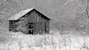 Competition entry: Tobacco Shed in Winter