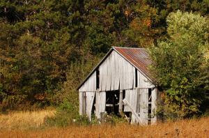 Competition entry: Old Shed