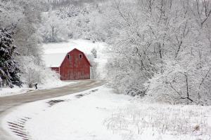 Competition entry: Red and White