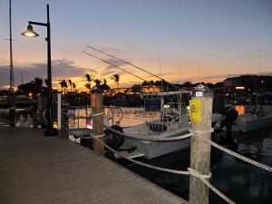 Competition entry: Key West Boat Harbor