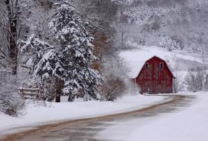 Competition entry: Down a Country Road