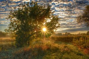 Competition entry: Basking In The Light Of The Sunrise