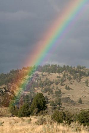 Competition entry: End of the Rainbow