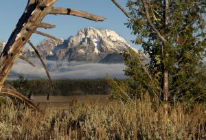 Competition entry: Teton Mountain