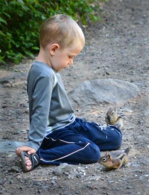 Competition entry: Boy and chipmunks