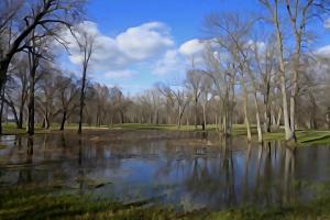 Competition entry: Goose Island in Spring