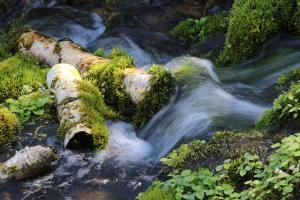 Competition entry: Norskedalen Waterfall