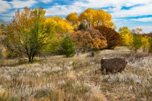 Competition entry: Bear Creek Park