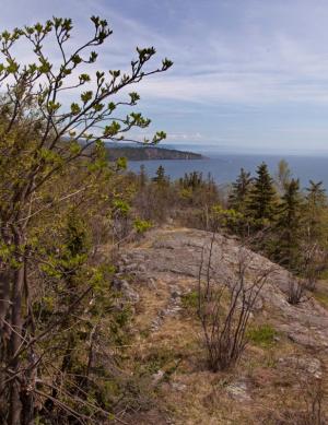 Competition entry: Overlooking Lake Superior