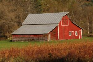 Competition entry: Emma's Barn in Autumn