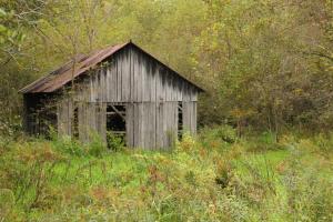 Competition entry: Tobacco Shed in Fall