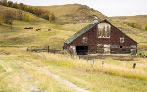 Competition entry: Dakota Barn