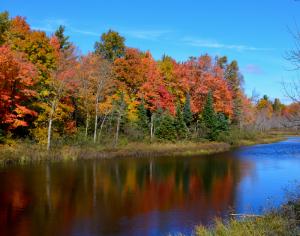 Competition entry: Reflections of Fall