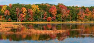 Fall Reflections