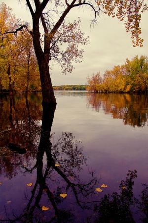 Competition entry: Fall Reflections