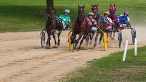 Competition entry: Vernon County Fair