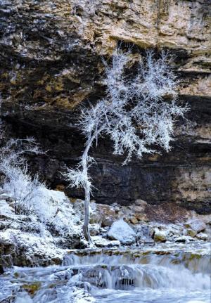 Competition entry: Crystal tree at willow river falls