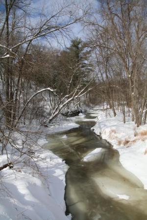 Competition entry: Creek in Winter