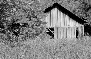 Competition entry: The Old Shed