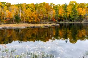 Competition entry: Reflections In The Water