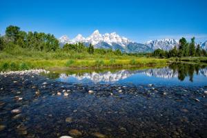 Competition entry: Schwabacher's Landing