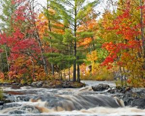 Competition entry: The Falls in Fall