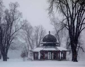 Competition entry: WALKING PETTIBONE IN THE WINTER