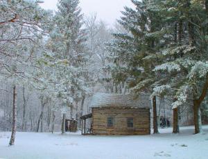 Competition entry: Log Cabin