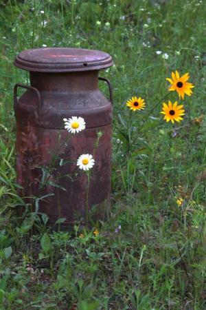 Competition entry: Rusty Milk Can