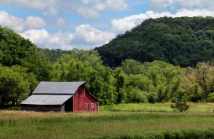 Competition entry: Red Barn in Summer