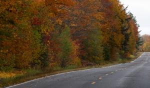 Competition entry: Colorful Road Ahead