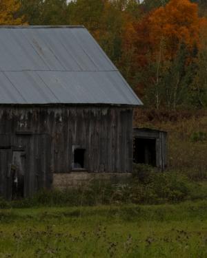 Competition entry: Old Barn with fall flair