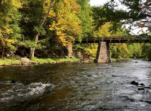 Competition entry: The stone bridge