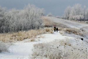 Competition entry: walk on frosty day