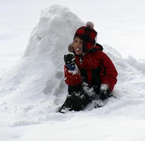 Competition entry: TASTY SNOW