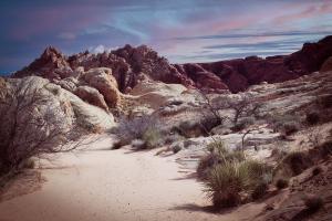 Competition entry: Nature's Sandbox