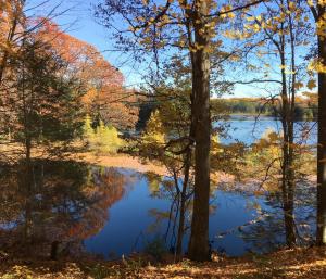 Competition entry: Fall Reflection